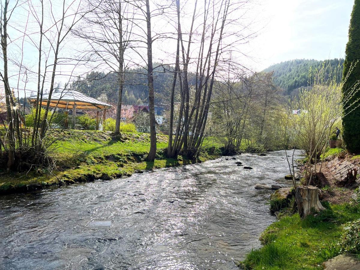 Ferienwohnung Kinzigblick - Balkon - Fuer Kinder - Mit Bettwaesche & Handtuecher Schenkenzell Luaran gambar